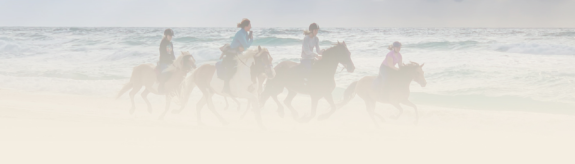 Balade à cheval Landes, Balade à cheval Mimizan, Balade à cheval sur la plage Landes, Balade à cheval sur la plage Mimizan, Balade en cheval en forêt Landes, Balade en cheval en forêt Mimizan, Promenade en cheval Landes, Promenade en cheval Mimizan, Réservation balade à cheval Landes, Réservation balade à cheval Mimizan Réservation Promenade à cheval Landes, Réservation Promenade à cheval Mimizan