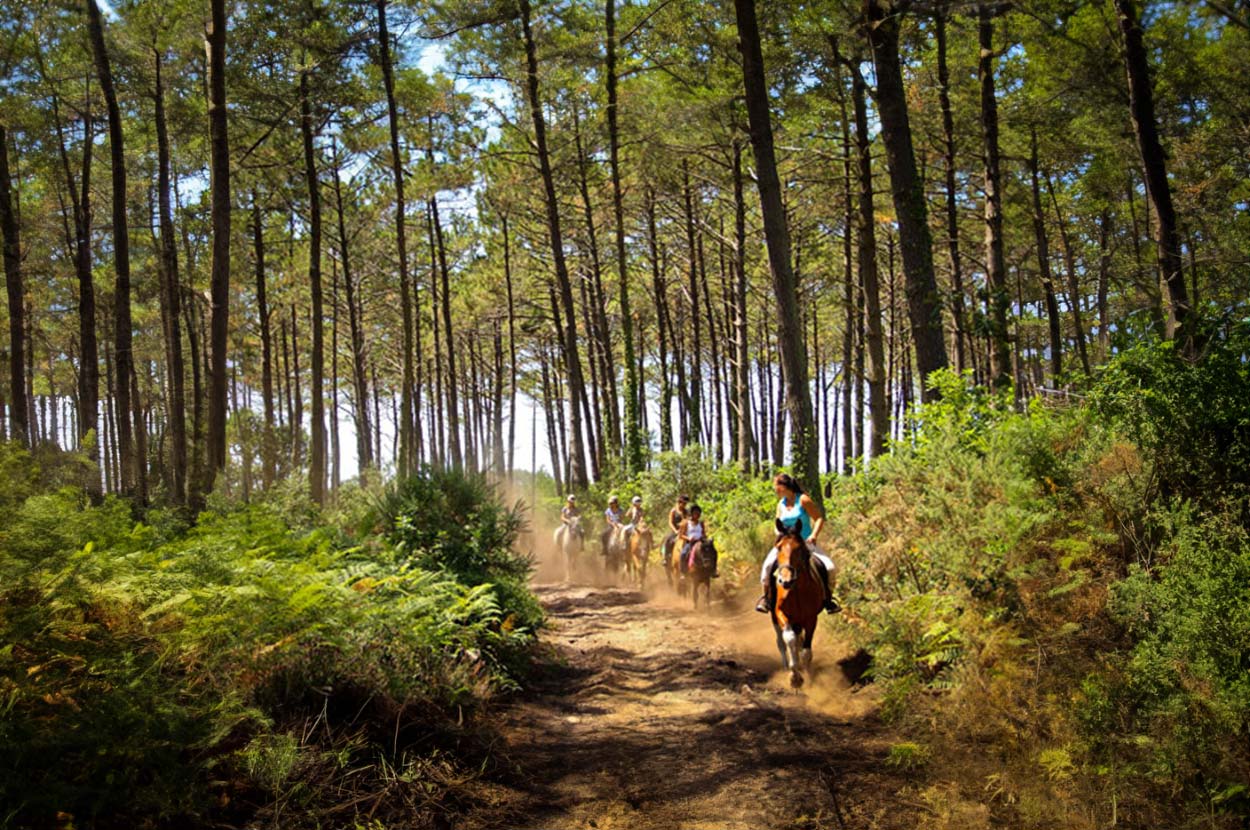 Balade à cheval Landes, Balade à cheval Mimizan, Balade à cheval sur la plage Landes, Balade à cheval sur la plage Mimizan, Balade en cheval en forêt Landes, Balade en cheval en forêt Mimizan, Promenade en cheval Landes, Promenade en cheval Mimizan, Réservation balade à cheval Landes, Réservation balade à cheval Mimizan Réservation Promenade à cheval Landes, Réservation Promenade à cheval Mimizan