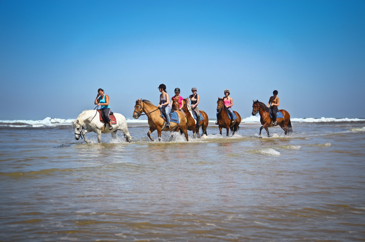 Balade à cheval Landes, Balade à cheval Mimizan, Balade à cheval sur la plage Landes, Balade à cheval sur la plage Mimizan, Balade en cheval en forêt Landes, Balade en cheval en forêt Mimizan, Promenade en cheval Landes, Promenade en cheval Mimizan, Réservation balade à cheval Landes, Réservation balade à cheval Mimizan Réservation Promenade à cheval Landes, Réservation Promenade à cheval Mimizan