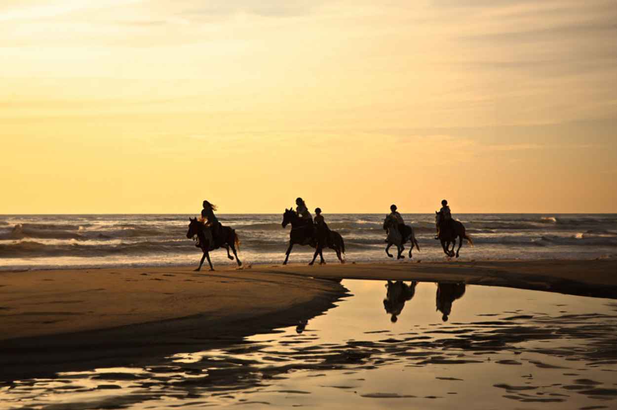 Balade à cheval Landes, Balade à cheval Mimizan, Balade à cheval sur la plage Landes, Balade à cheval sur la plage Mimizan, Balade en cheval en forêt Landes, Balade en cheval en forêt Mimizan, Promenade en cheval Landes, Promenade en cheval Mimizan, Réservation balade à cheval Landes, Réservation balade à cheval Mimizan Réservation Promenade à cheval Landes, Réservation Promenade à cheval Mimizan