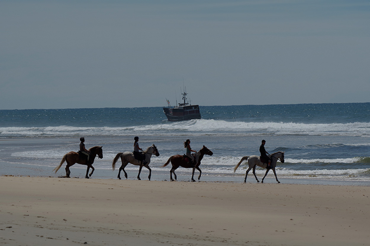 Balade à cheval Landes, Balade à cheval Mimizan, Balade à cheval sur la plage Landes, Balade à cheval sur la plage Mimizan, Balade en cheval en forêt Landes, Balade en cheval en forêt Mimizan, Promenade en cheval Landes, Promenade en cheval Mimizan, Réservation balade à cheval Landes, Réservation balade à cheval Mimizan Réservation Promenade à cheval Landes, Réservation Promenade à cheval Mimizan