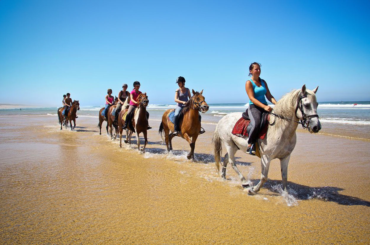 Balade à cheval Landes, Balade à cheval Mimizan, Balade à cheval sur la plage Landes, Balade à cheval sur la plage Mimizan, Balade en cheval en forêt Landes, Balade en cheval en forêt Mimizan, Promenade en cheval Landes, Promenade en cheval Mimizan, Réservation balade à cheval Landes, Réservation balade à cheval Mimizan Réservation Promenade à cheval Landes, Réservation Promenade à cheval Mimizan